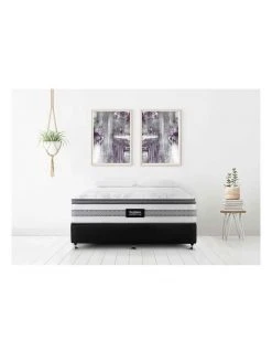 Best reviews of 🤩 SleepMaker Lifestyle Modena Plush 7 Mattress White 🥰