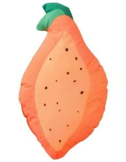 Budget 😍 Sheridan Papaya Cushion 🌟